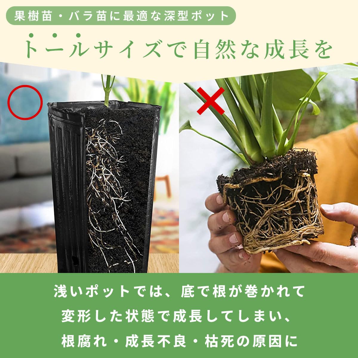 Amazon.co.jp: SALUDABLE ポット 育苗ポット プランター 深型 ロング